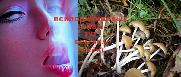 ECSTASY Абинск