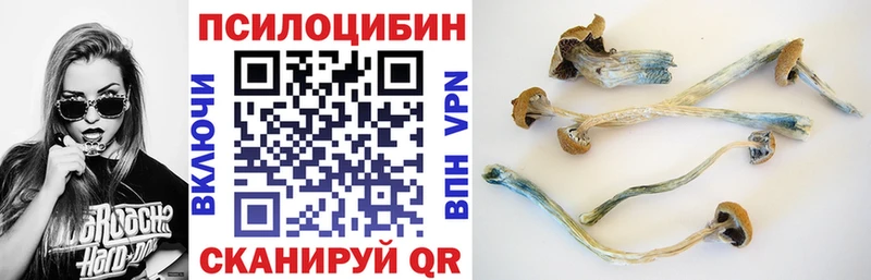 Псилоцибиновые грибы Cubensis гидра Таганрог